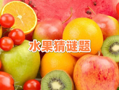 首页-第28张-吾帮找网